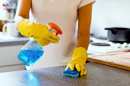 Dust and allergen removal during mattress cleaning service