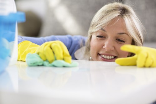 Professional carpet cleaning invoice and payment arrangement