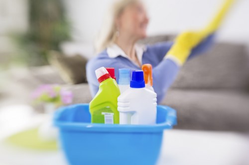 Deep cleaning treatment for pet urine smell in a South Hornchurch home